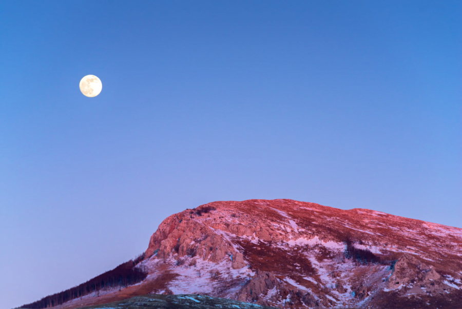 HOROSKOP ZA ČETVRTAK, 12. MAJ Ovnovi očekujte početak nove poslovne saradnje, Lavovi prate vas zastoji i loše okolnosti, Device sukob sa partnerom će kulminirati