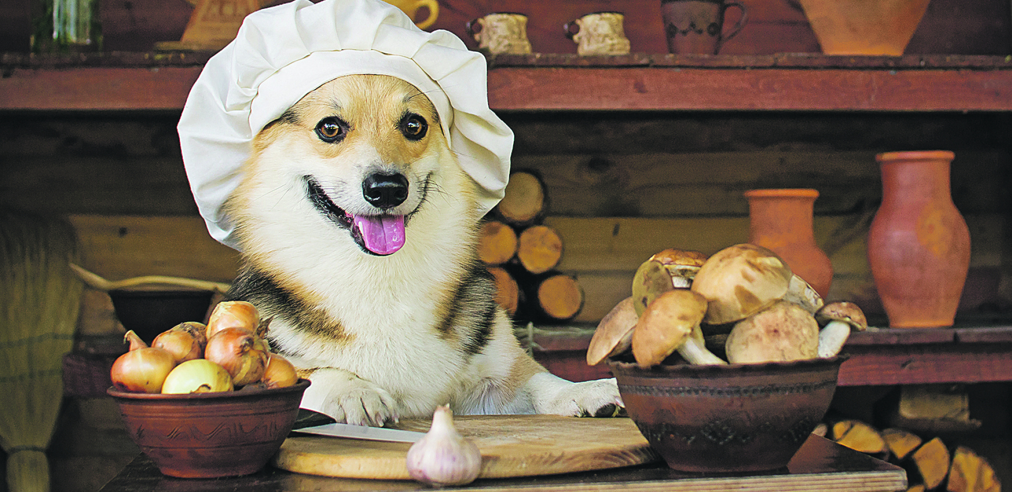 VIC DANA Imala baba jednog psa...