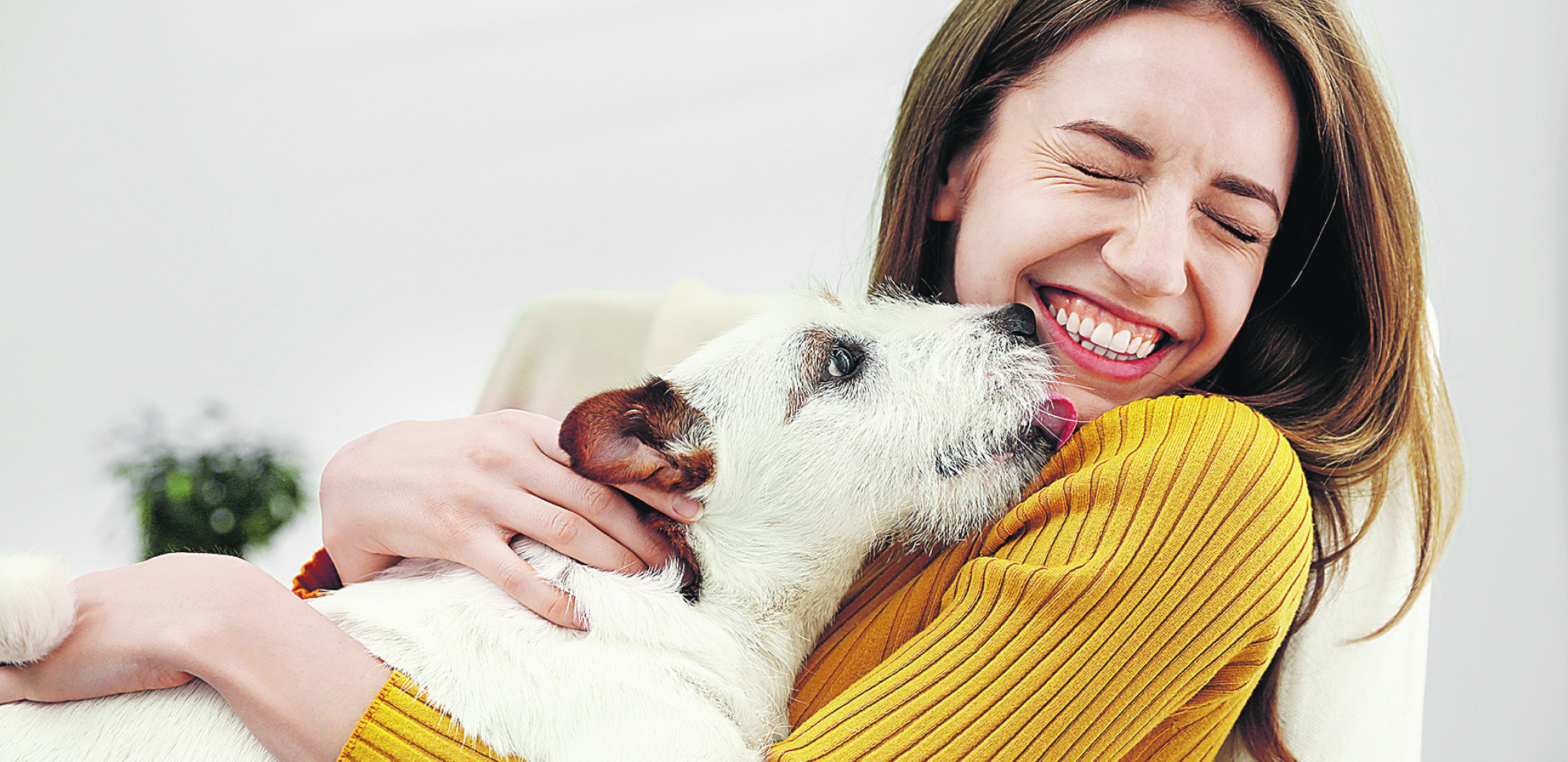 Naučnici otkrili: Psi mogu da plaču od sreće