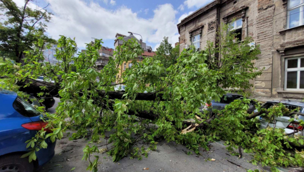 OPASNO NEVREME POGODILO JUG SRBIJE Padao grad u Leskovcu, pogledajte razorne posledice oluje (FOTO/VIDEO)