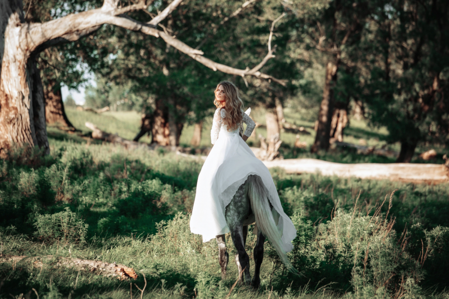 DOSADILI SU VAM KUČIĆI I MAČIĆI Evo koje životinje su najpametniji kućni ljubimci