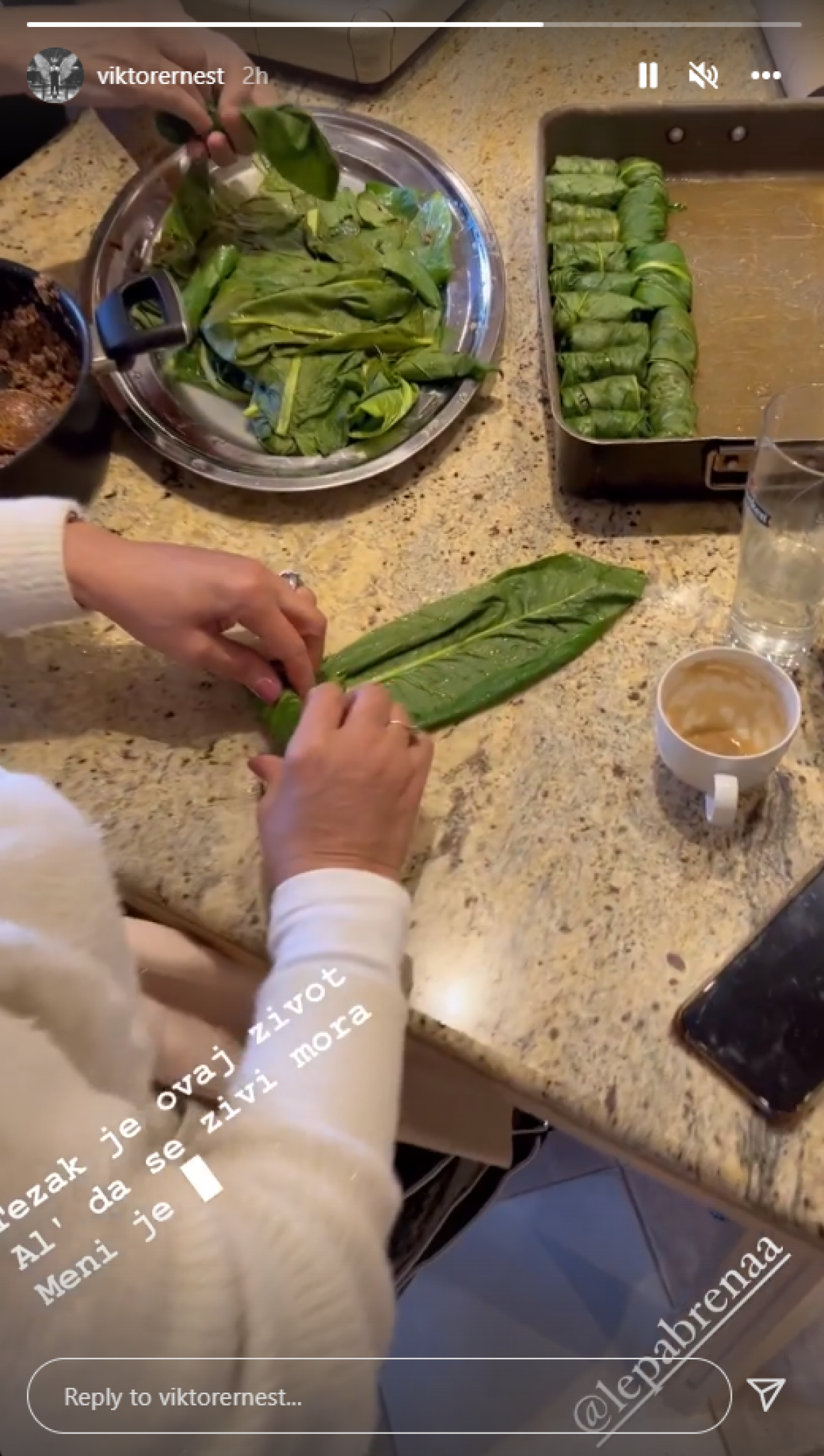 TEŽAK JE OVO ŽIVOT Brena zasukla rukave, savija sarme pred Uksrs, sin je snimao sa viklerima na glavi (FOTO)