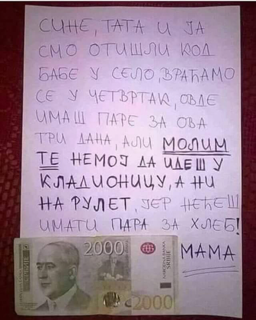 OTIŠLI U SELO, A SINU OSTAVILI PARE Plakaćete od smeha kad vidite šta ga mole da ne radi