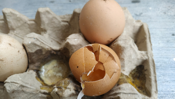 AKO VIDITE OVO NA LJUSCI, ODMAH GA BACITE: Stručnjaci su utvrdili kako se dobija salmonela i kakva jaja nisu bezbedna
