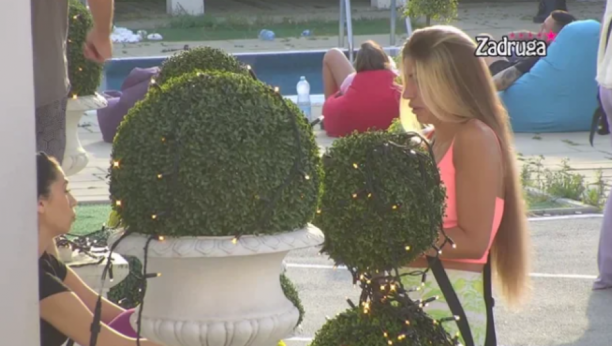 RASKRINKANI Milica odmah primetila hemiju između Dalile i Anđela, ne mogu da sakriju osmehe: Sve ti se vidi na licu