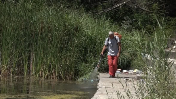 OVO JE NAJSMRTONOSNIJA ŽIVOTINJA NA SVETU Do sada je ubila 52 milijarde ljudi