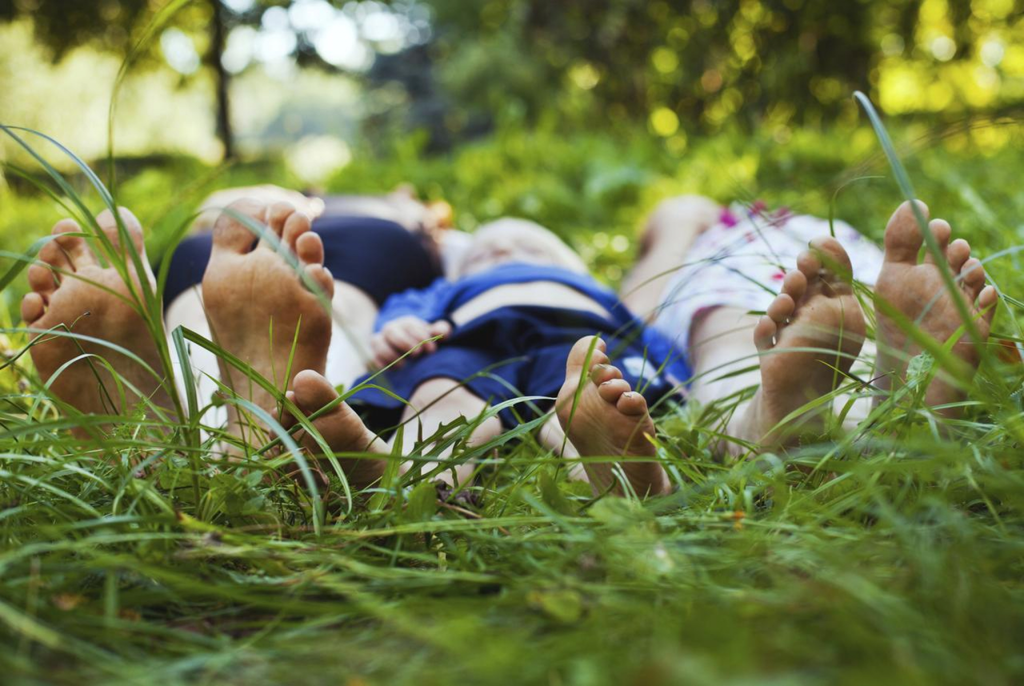 OVO JE NAJSMRTONOSNIJA ŽIVOTINJA NA SVETU Do sada je ubila 52 milijarde ljudi