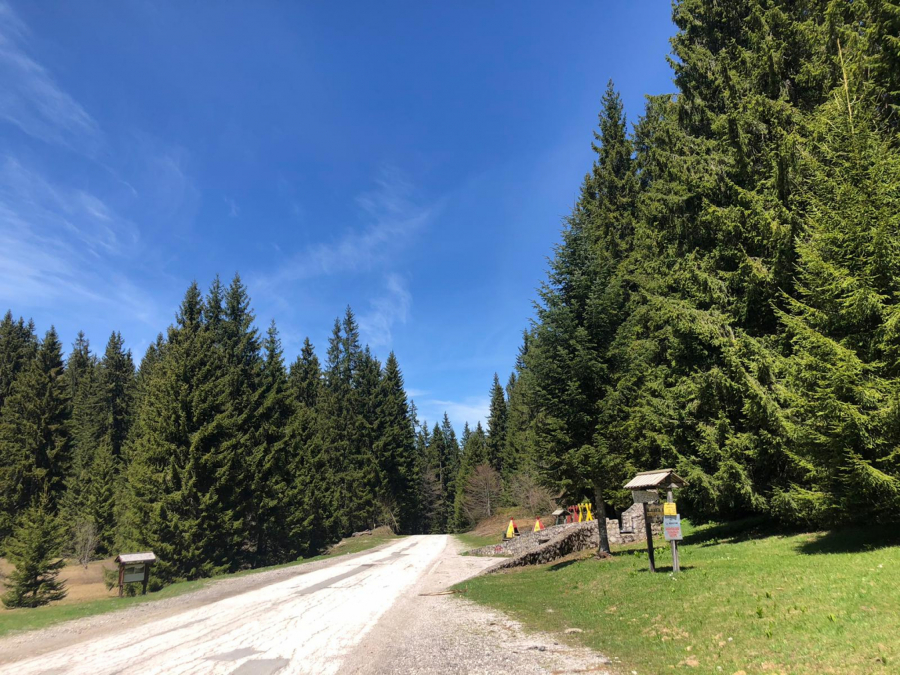 PRAVO BOGATSTVO ZA AR ZEMLJE Na Goliji, nekad surovoj planini, placevi su poskupeli i deset puta (FOTO)