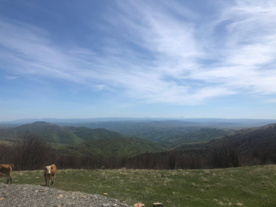 PRAVO BOGATSTVO ZA AR ZEMLJE Na Goliji, nekad surovoj planini, placevi su poskupeli i deset puta (FOTO)
