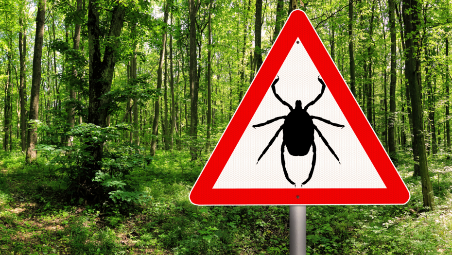 JKP "GRADSKA ČISTOĆA" Danas suzbijanje krpelja u Beogradu