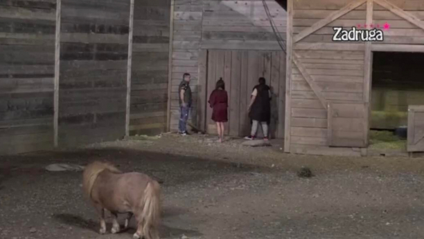 MILJANA I BEBICA BEŽE IZ RIJALITIJA Nenad pokušao da razvali ogradu, trudna Kulićka mu pomaže, drama u Zadruzi