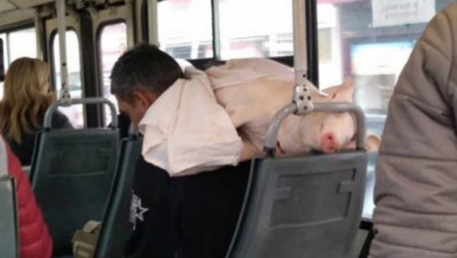 BOŽE SAKLONI! Kada je ušao u autobus 707 Beograđani su počeli da se krste, a i vi ćete