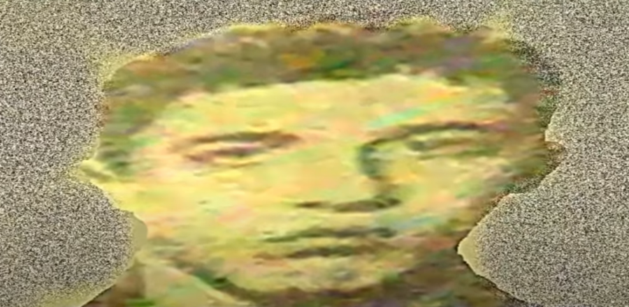 27 GODINA OD SUROVE LIKVIDACIJE MARKA BORAKA U BEOGRADU Mali Mare je navodno pucao na opasne momke, dizao im u vazduh lokale i automobile, otimao novac i delio siromašnima, a onda je otet...