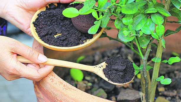 NAJBOLJA ZAMENA ZA PESTICIDE JE U VAŠOJ KUHINJI: Od nje puževi beže, cveće buja, a zemlja će se prečistiti