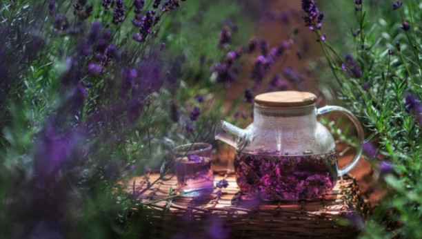 NEMA BOLJEG NAPITKA ZA ČIŠĆENJE PLUĆA I ALERGIJE: Evo kako se sprema čaj od ljubičice, iznenadićete se koliko je blagotvoran!