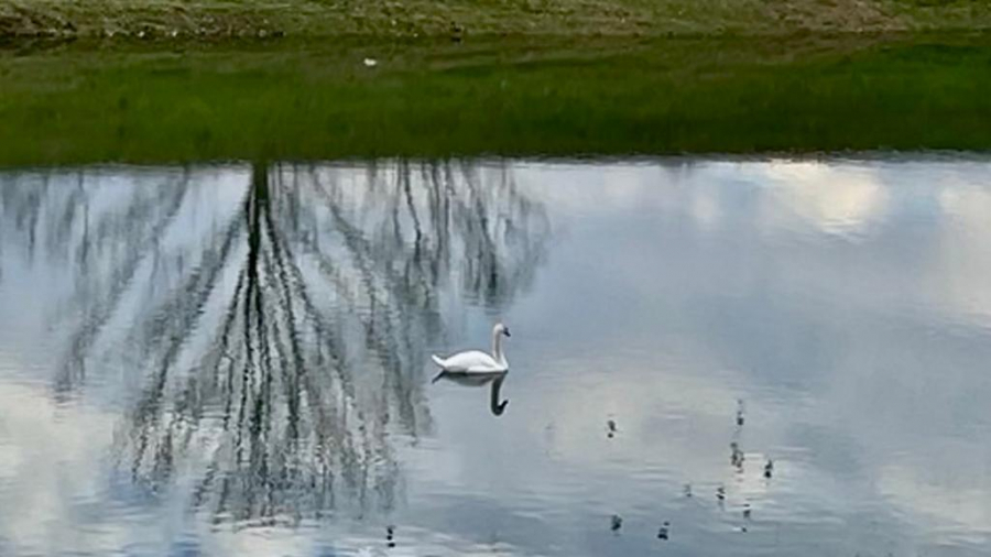 DOŽIVITE NEVEROVATAN DAN U PRIRODI Ivanovo selo biće centar okupljanja nekoliko stotina fotografa iz Srbije i inostranstva (VIDEO)