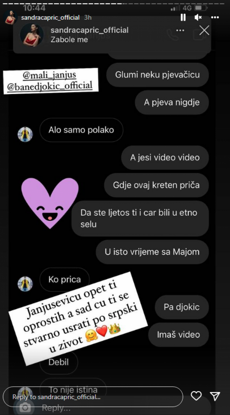 PONOVO ZARATILI BIVŠI PRIJATELJI Sandra Čaprić besna na Janjuša, objavila prepiske, pa ovako pretila