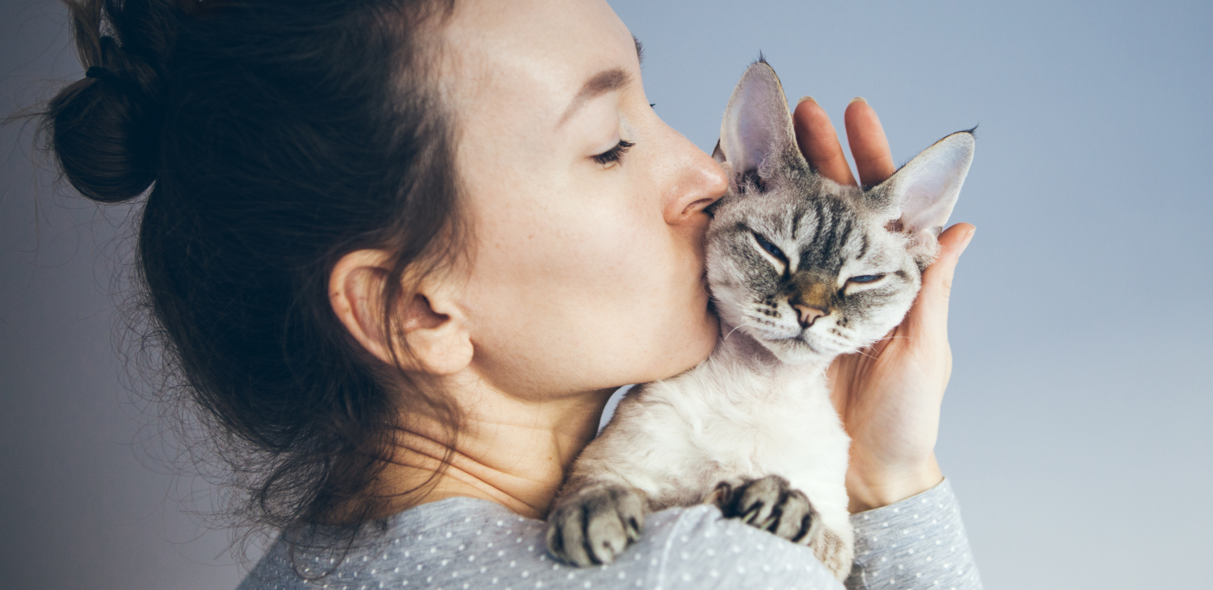 AKO NISTE ZNALI Evo kako da u nekoliko koraka pokažete mački da je volite