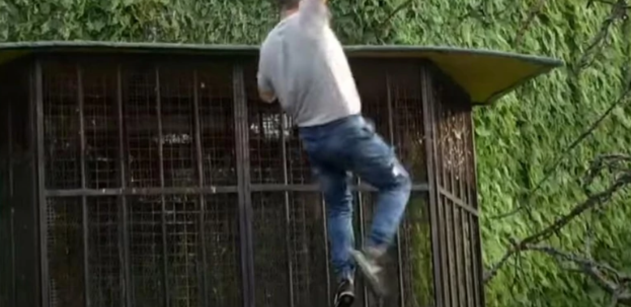 PONOVO BEŽI IZ ZADRUGE Bebica doživeo pomračenje zbog Miljaninih reči, pa kao od šale preskočio ogradu