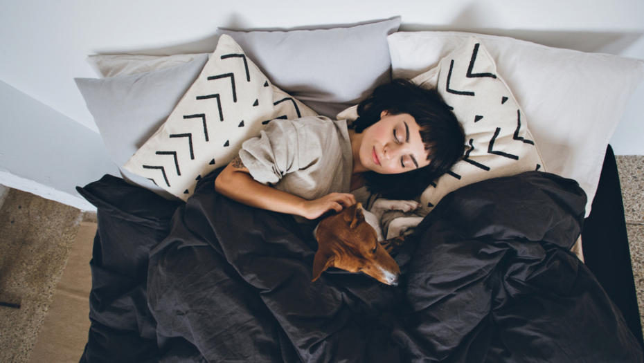 Istraživanja dokazala: Spavanje u istoj sobi sa ljubimcem poboljšava kvalitet sna