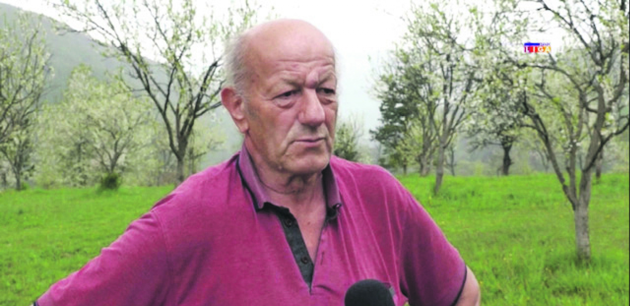 MEŠTANI SELA PRIDVORICA ŽIVE U STRAHU Mečke i divlje svinje uništavaju letinu