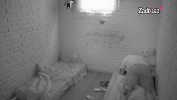 NA SVE NAČINE POKUŠAVA DA JE VRATI Car naskočio na Dalilu, ne da joj mira, ona ga oduvala: Nemoj sebi da daješ za pravo (VIDEO)