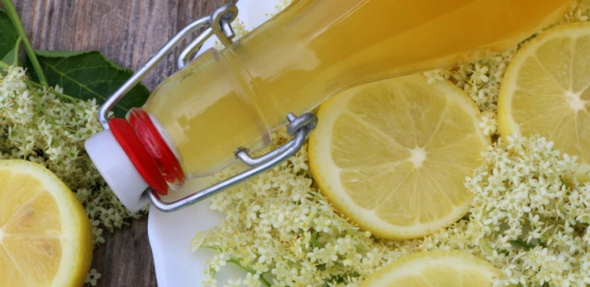 SKUVAJTE MOĆNI SOK OD NAJLEKOVITIJE BILJKE NA SVETU Lekoviti nektar po starinskom receptu