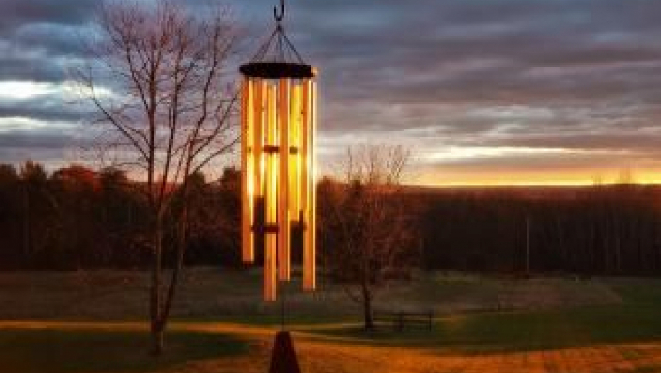 PET SITNICA TREBA DA IMA SVAKA KUĆA Unesite ih danas u dom, sutra će vam sreća pokucati na vrata