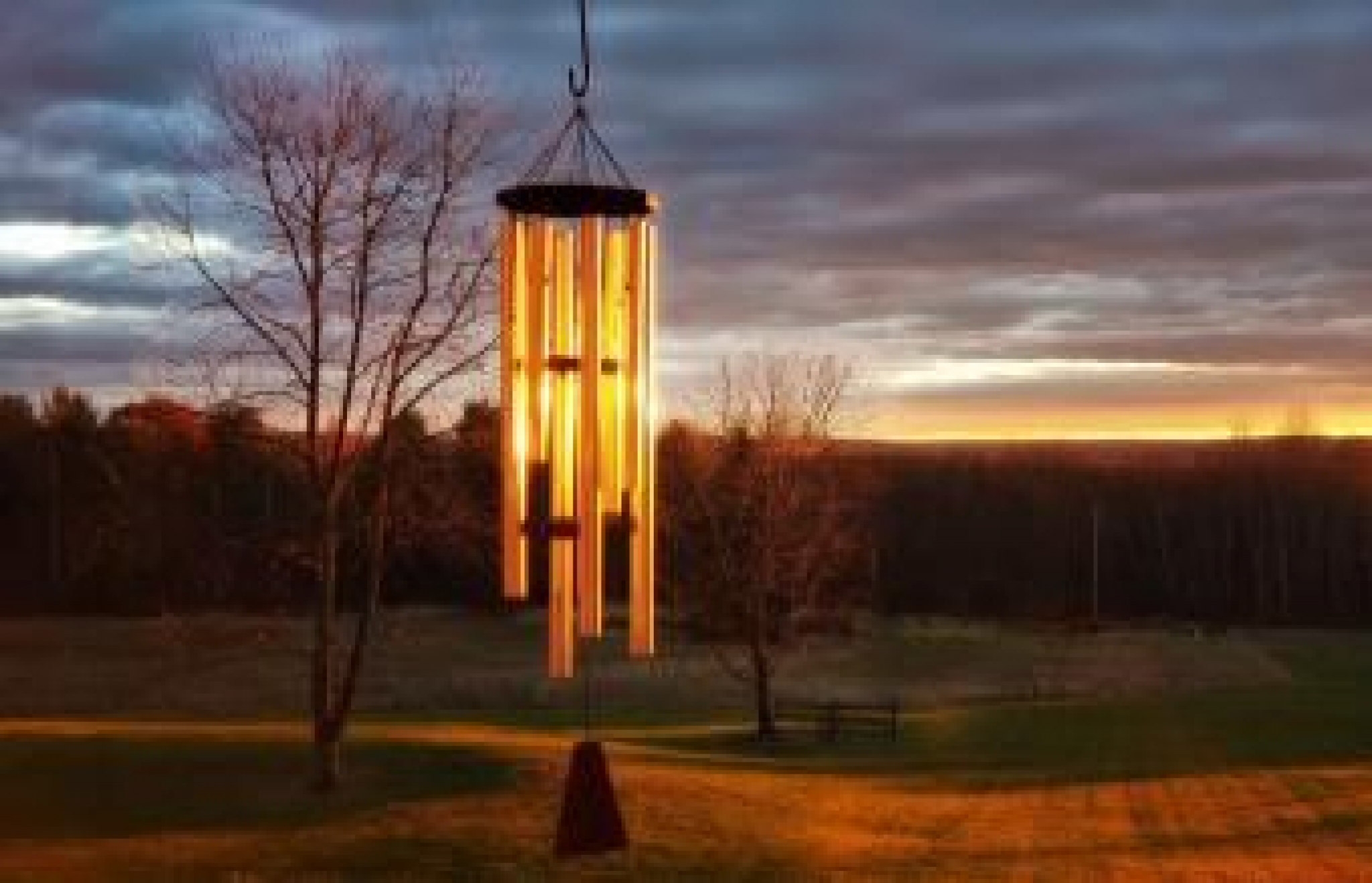 OVU AMAJLIJU TREBA DA IMATE NA BALKONU Veruje se da tera zlo od kuće i privlači novac