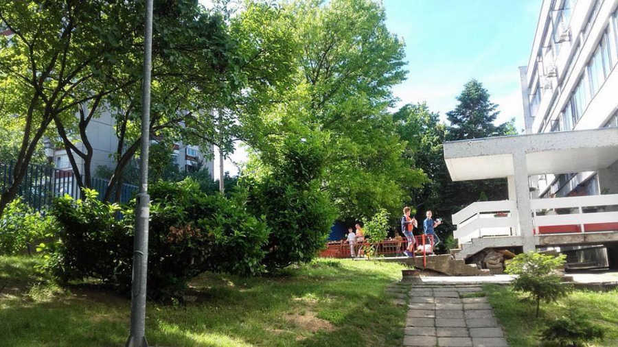 UPIS PRVAKA Ove godine 65.000 đaka prvi put sedaju u klupe