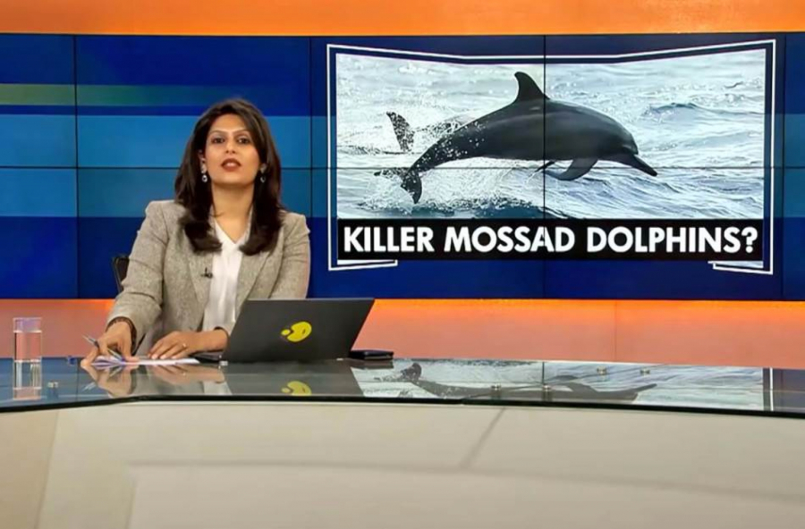 DRESIRANU AJKULU POSLALI DA UBIJA TURISTE? MORE CRVENO OD KRVI! Zgrabila Rusa i Ukrajinca, a onda usledile šok tvrdnje