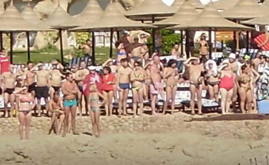 DRESIRANU AJKULU POSLALI DA UBIJA TURISTE? MORE CRVENO OD KRVI! Zgrabila Rusa i Ukrajinca, a onda usledile šok tvrdnje