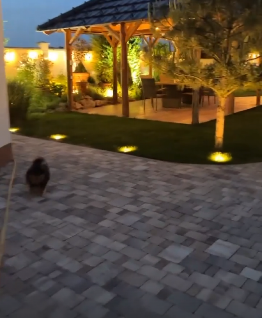 KOKOŠKE TRČE PO DVORIŠTVU Seka Aleksić ostvarila svoj san, pa pokazala kako uzgaja živinu (FOTO)