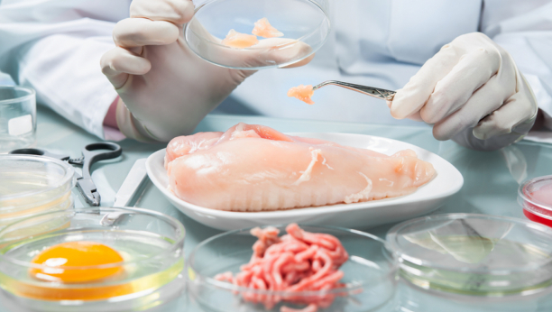 Istraživači su otkrili neverovatan lek za salmonelu: Uništava je hranu koju imamo u frižideru