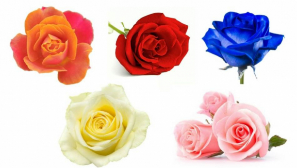 IZABERITE RUŽU SA SLIKE Test koji otkriva kada će vam se ostvariti želja