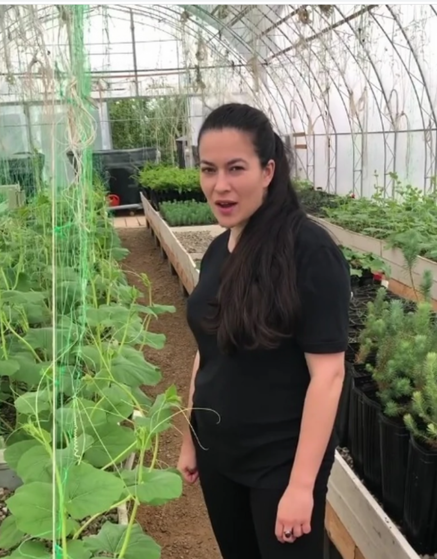 IMAM TIKVE I ČAROBNI PASULJ Marija Petronijević pokazala svoj plastenik i otkrila šta sve uzgaja (FOTO)