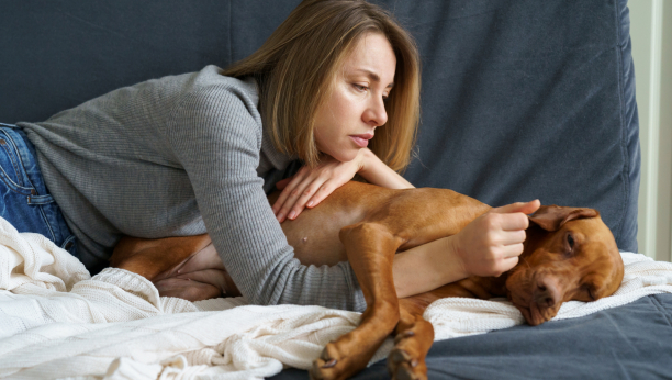 OBAVEZNA PREVENTIVA Sprečite komplikacije izazvane srčanim crvom kod vašeg psa