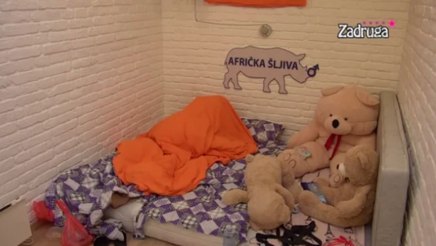 SVE SE ORILO OD NJIHOVIH UZDAHA Nakon žestoke svađe, Dalila i Car imali vruću akciju (VIDEO +18)