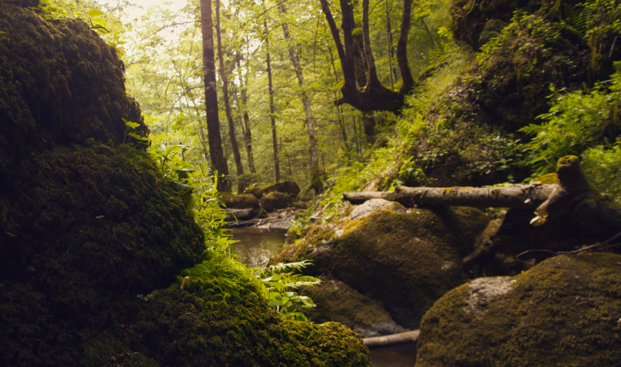 NEUKROTIVA SRPSKA LEPOTICA KOJU MORATE OBIĆI OVOG LETA Planina sa tri jezera, dve lekovite reke i šest manastira!