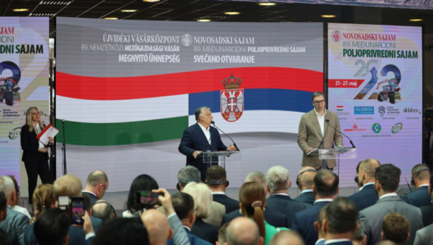 VUČIĆ ZAHVALIO MAĐARSKOM PREMIJERU: "Kad god je teško, Viktor Orban je uvek uz Srbiju"