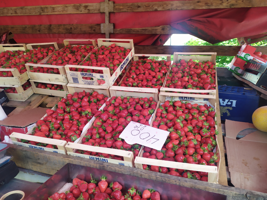 JAGODE SKUPLJE OD KILE MESA Sezonsko voće košta kao da su dijamanti, kažu čitaoci Alo!
