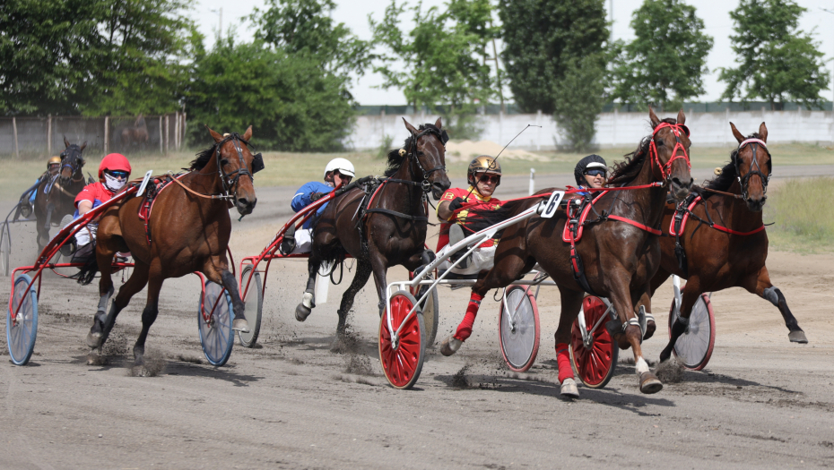 EKSKLUZIVNO Reporteri Alo! proveli dan sa Nikolom Jokićem na hipodromu u Subotici - Sve za konje (FOTO GALERIJA)