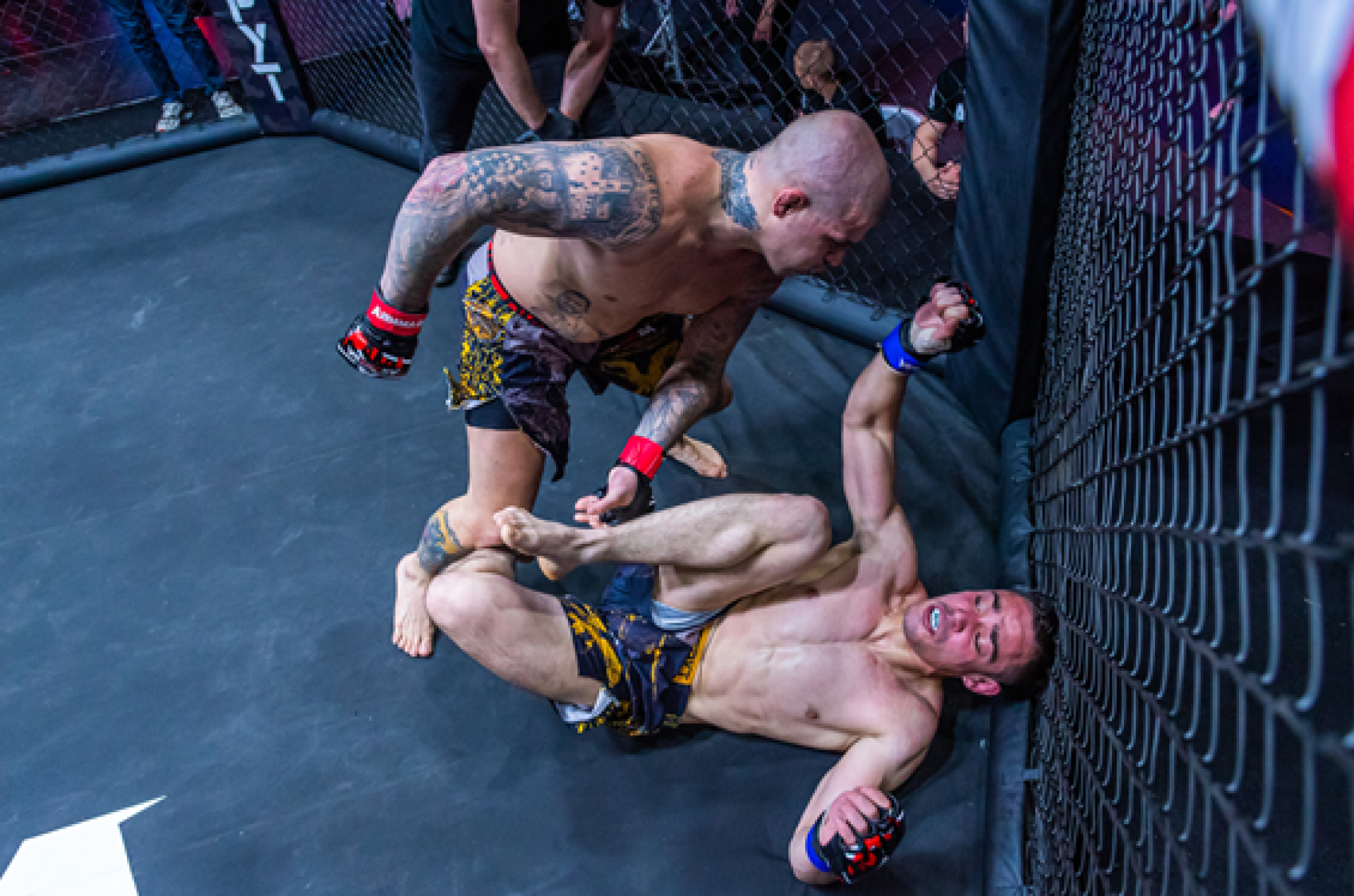 MMA Spektakl za pamćenje u Kikindi