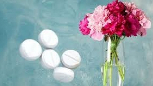 LEKAR U VAZI Božur štiti kuću od zla i isceljuje od ovih bolesti