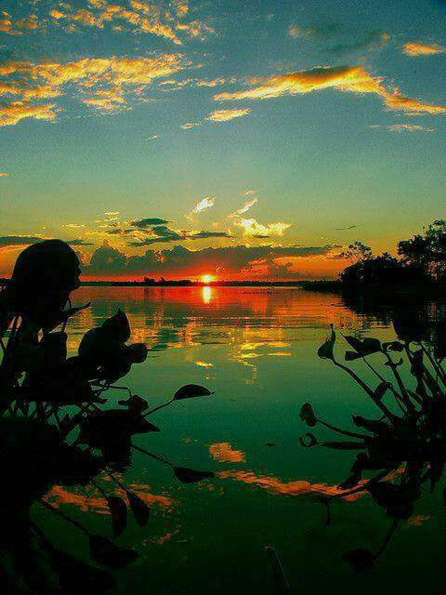 VELIKI HOROSKOP ZA JUN 2022. Pozamašan priliv novca očekuje Bika i Vodoliju, Devicama će neko slomiti srce