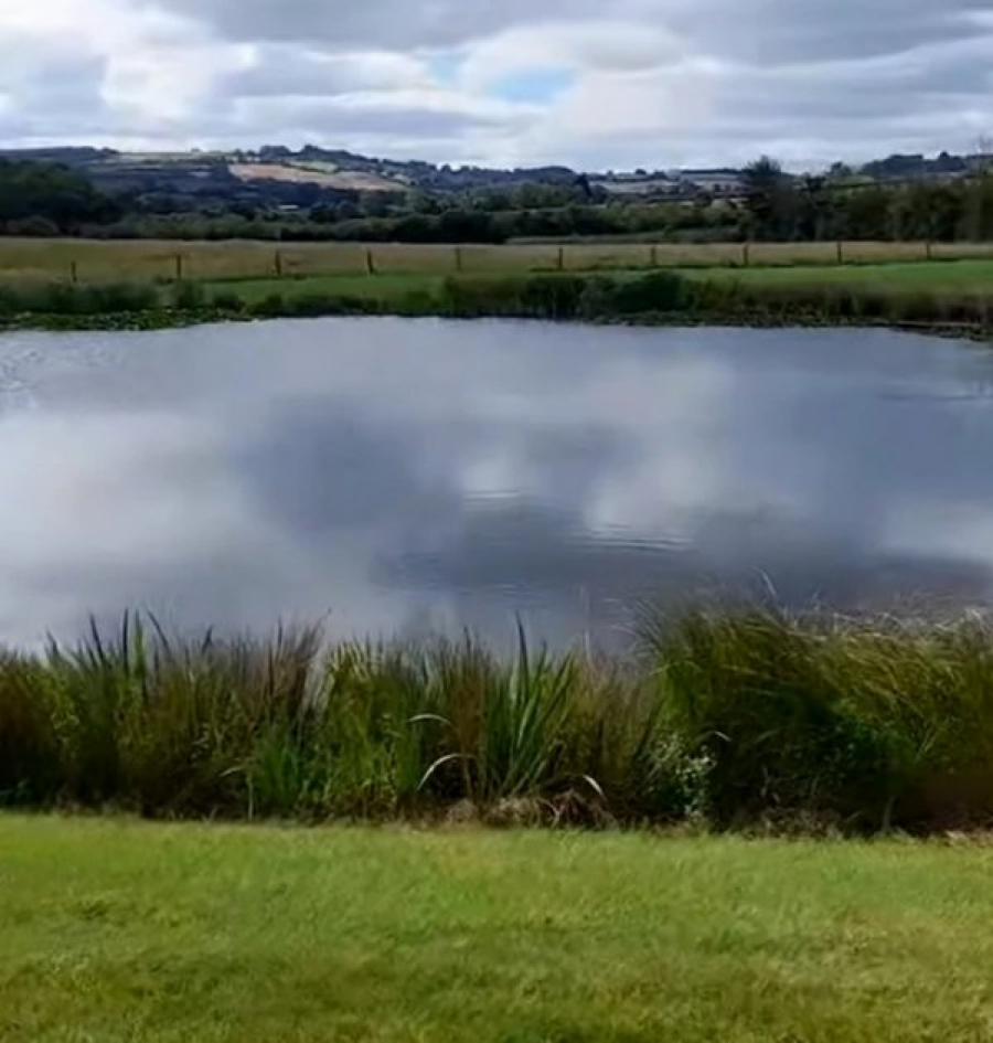 ČEKA NAS MOŽDA I NAJSUŠNIJA GODINA Vodostaji reka u Srbiji na minimumu, kritično na Savi