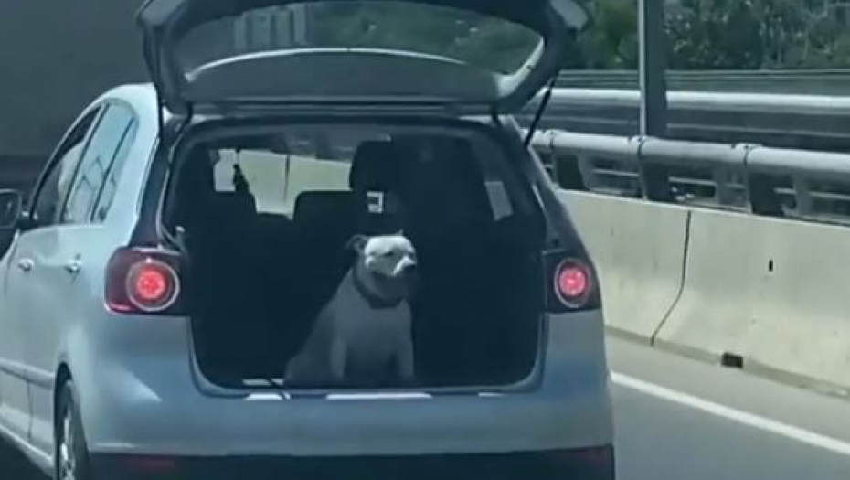 ŠOKANTAN SNIMAK PODELIO SRBIJU Jedni ga hvale, drugi kritikuju (VIDEO)