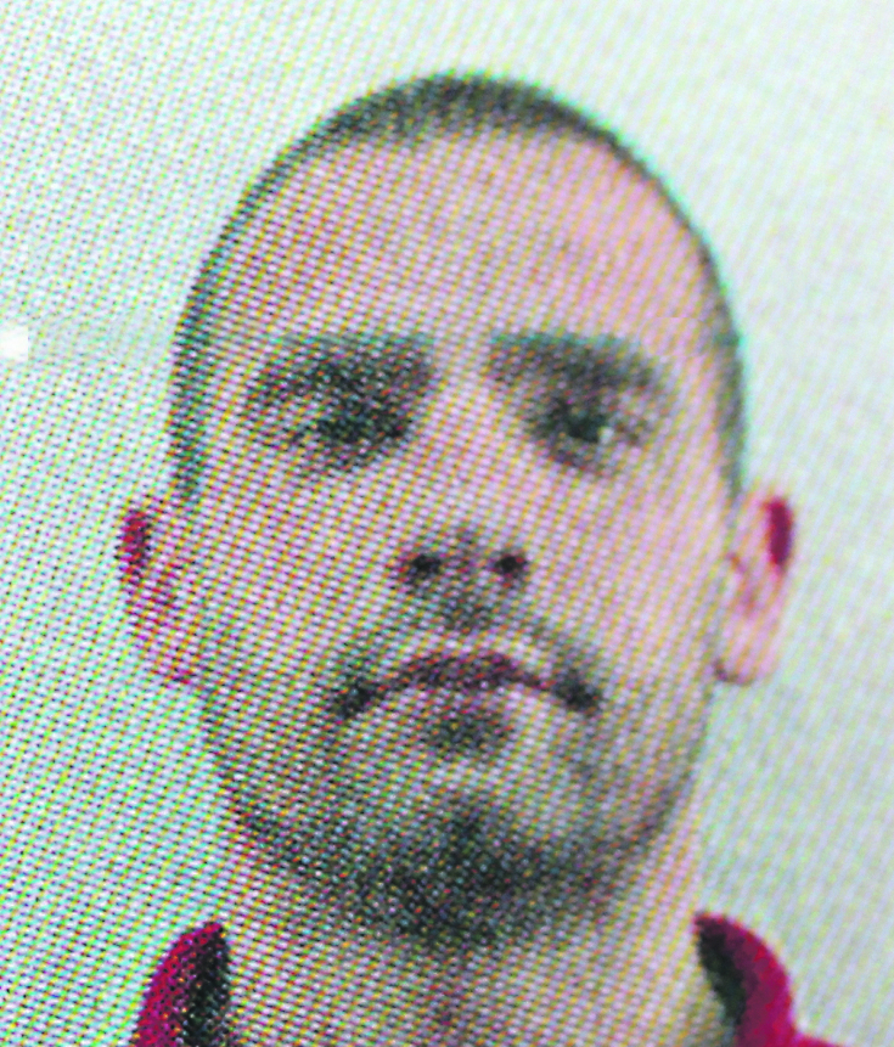 UBICU ŠARCA TERALI DA SE OBESI U ZATVORU Ludi Džoni i Belivuk saradnike koje su uhapšeni nagovarali na samoubistvo