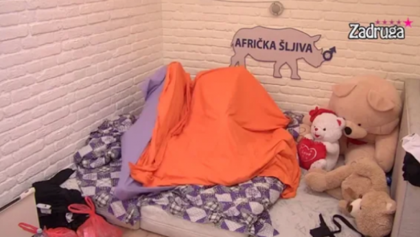 ŽESTOK SE*S Dalila i Car se nakon skandala prepustili strastima, jedva dočekali da se završi emisija (VIDEO)