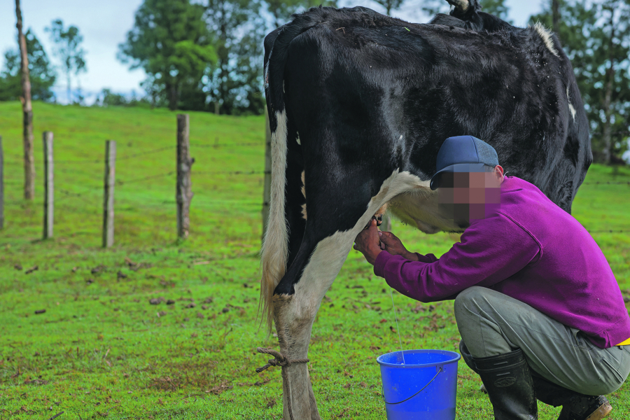 Ekskluzivno: Alo! razotkrio strogo čuvane tajne istočne Srbije (2): Žrtvovao sve krave zbog seksa (VIDEO)